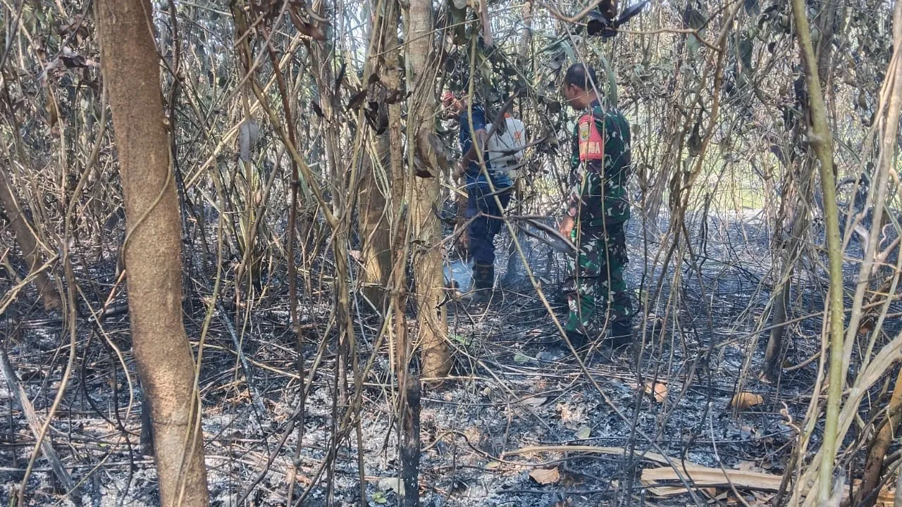 Kebakaran Lahan Seluas 2 Hektare Terjadi di Desa Badau, Api Berhasil Dipadamkan 8 AddText 08 27 02.14.15