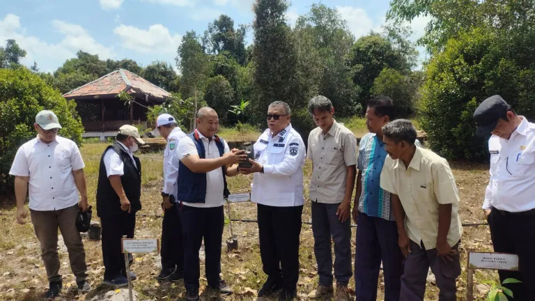 Bandara Internasional HAS Hanandjoeddin Tanam 900 Pohon di Beltim, Dorong Rehabilitasi Lahan Kritis