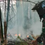 Kebakaran Lahan 5 Hektare Terjadi di Keciput, Api Berhasil Dipadamkan