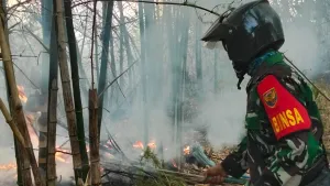 Kebakaran Lahan 5 Hektare Terjadi di Keciput, Api Berhasil Dipadamkan