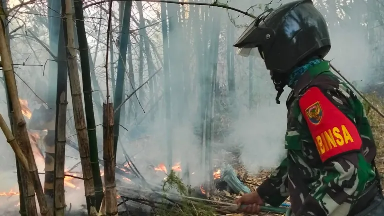 Kebakaran Lahan 5 Hektare Terjadi di Keciput, Api Berhasil Dipadamkan