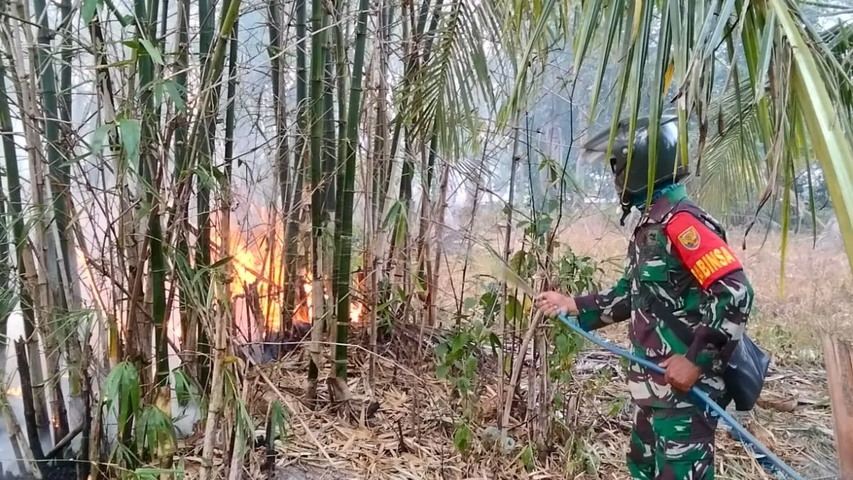 Kebakaran Lahan 5 Hektare Terjadi di Keciput, Api Berhasil Dipadamkan 8 AddText 08 28 04.26.48