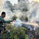 Kebakaran Hutan Semak Belukar di Pos STP Parit Tebu-Gantung, Petugas Gabungan Berhasil Padamkan Api