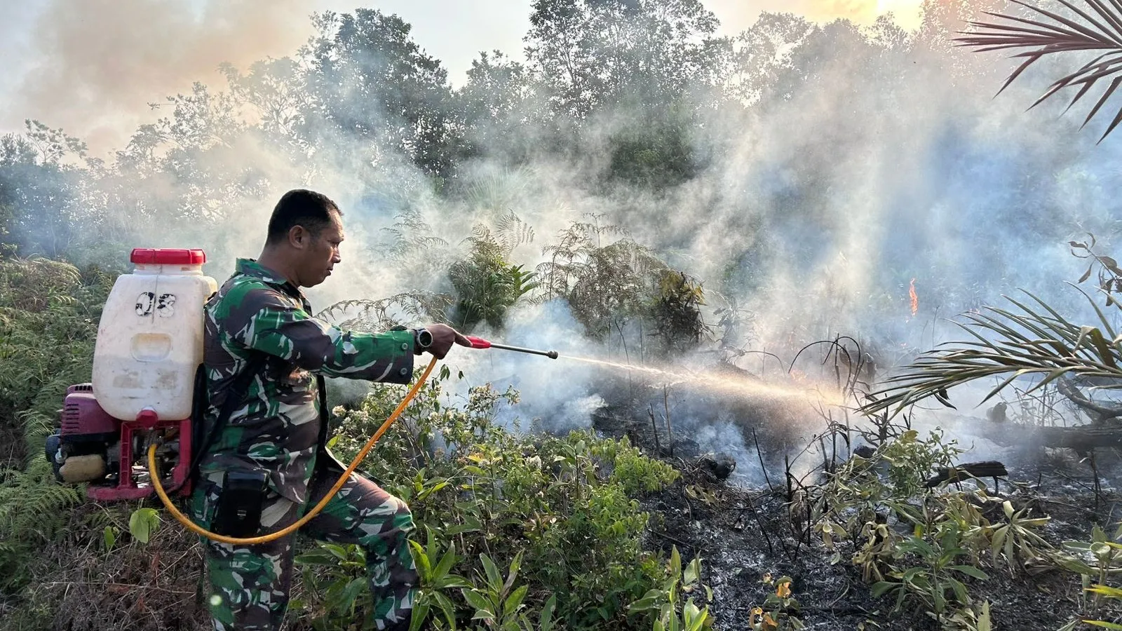 Kebakaran Hutan Semak Belukar di Pos STP Parit Tebu-Gantung, Petugas Gabungan Berhasil Padamkan Api 7 Kebakaran Hutan Semak Belukar di Pos STP Parit Tebu-Gantung, Petugas Gabungan Berhasil Padamkan Api