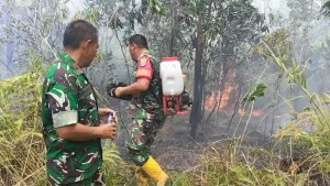 Kebakaran Lahan Seluas 5 Hektare di Desa Selinsing Berhasil Dipadamkan