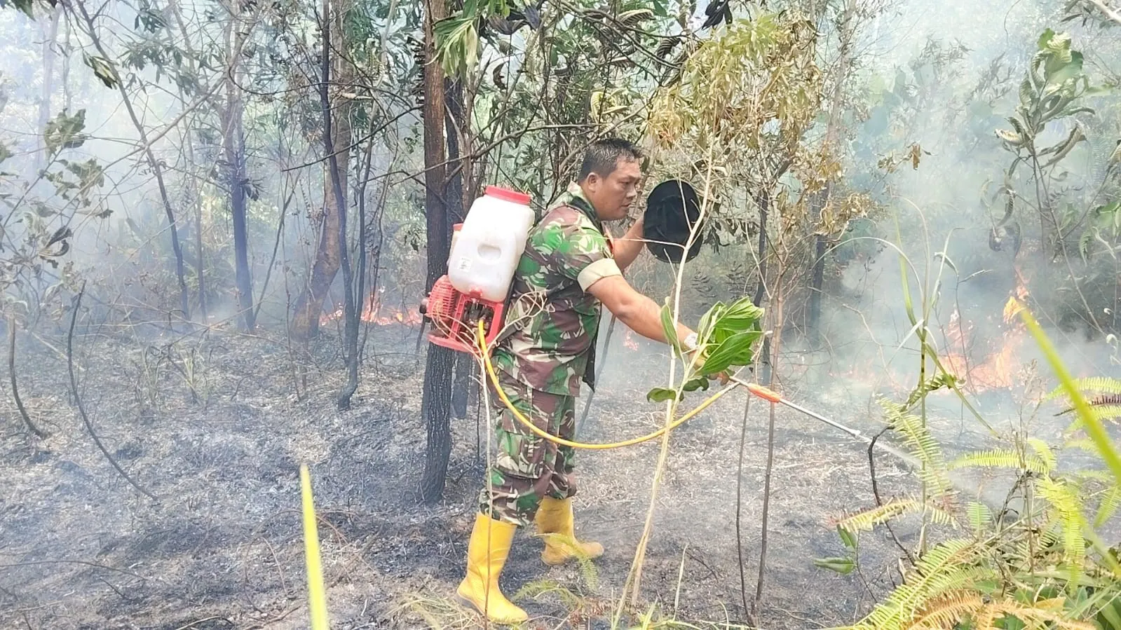 Kebakaran Lahan Seluas 5 Hektare di Desa Selinsing Berhasil Dipadamkan 8 AddText 09 02 02.42.12