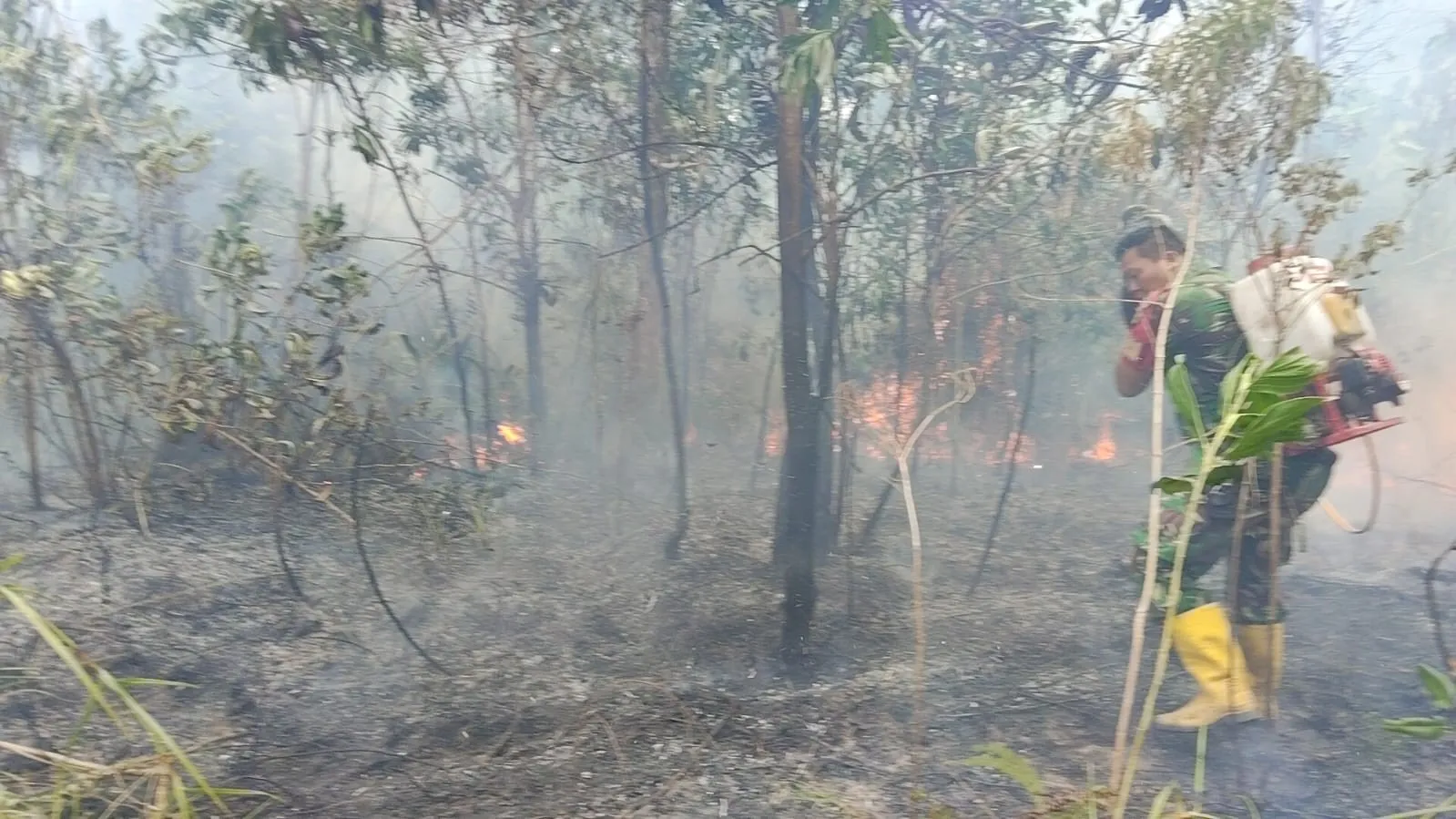 Kebakaran Lahan Seluas 5 Hektare di Desa Selinsing Berhasil Dipadamkan 10 AddText 09 02 02.42.38