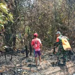 Karhutla di Jalan Buding Desa Cendil Sekitar 2 Hektare Lahan Terbakar : Api Berhasil dikendalikan.