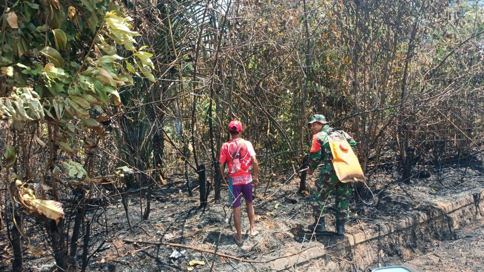 Karhutla di Jalan Buding Desa Cendil Sekitar 2 Hektare Lahan Terbakar : Api Berhasil dikendalikan. 7 Karhutla di Jalan Buding Desa Cendil Sekitar 2 Hektare Lahan Terbakar : Api Berhasil dikendalikan.