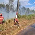 Karhutla Jalan Tanjungpandan-Manggar di Dusun Buding Desa Buding Kelapa Kampit Berhasil Dipadamkan