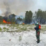 Lahan Kosong di Pinggir Jalan Pelabuhan Tanjung Batu Terbakar: Api pun Bisa Dipadamkan