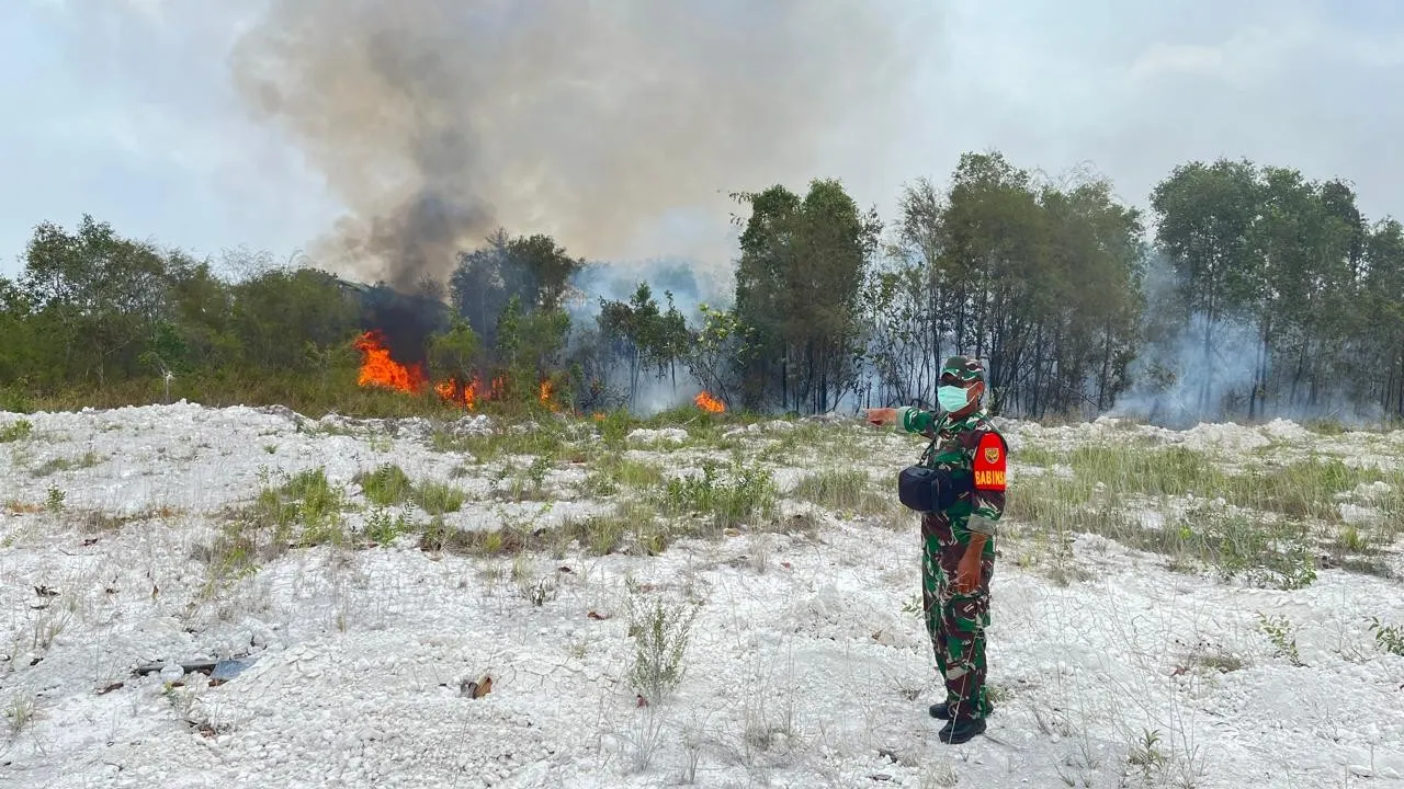 Lahan Kosong di Pinggir Jalan Pelabuhan Tanjung Batu Terbakar: Api pun Bisa Dipadamkan 7 Lahan Kosong di Pinggir Jalan Pelabuhan Tanjung Batu Terbakar: Api pun Bisa Dipadamkan