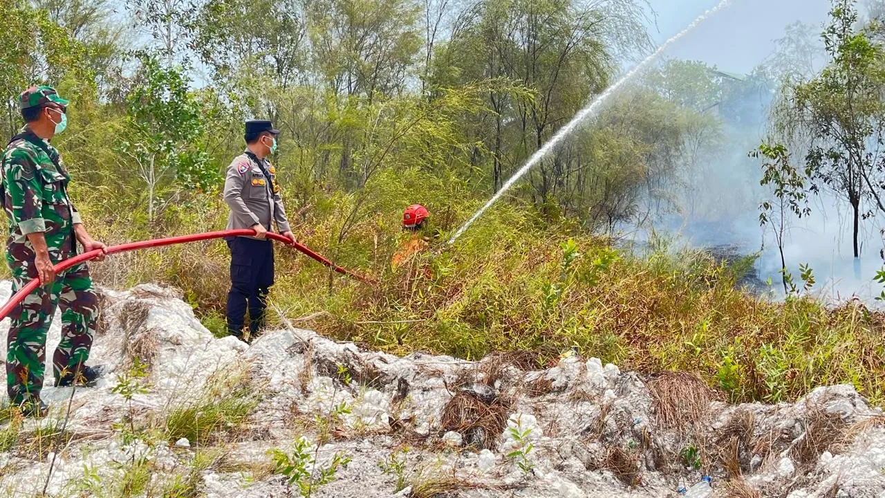 Lahan Kosong di Pinggir Jalan Pelabuhan Tanjung Batu Terbakar: Api pun Bisa Dipadamkan 8 AddText 09 03 02.02.11