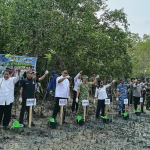 Sambut HUT TNI ke-81, Kodim 0414/Belitung Tanam 1.000 Bibit Mangrove di Pantai Pering