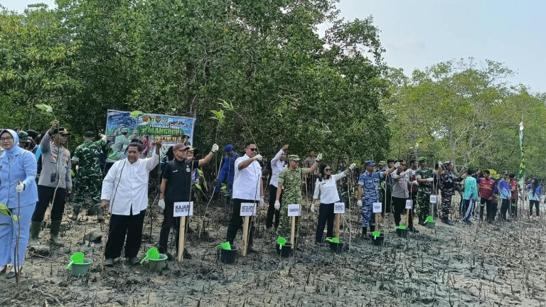 Sambut HUT TNI ke-81, Kodim 0414/Belitung Tanam 1.000 Bibit Mangrove di Pantai Pering