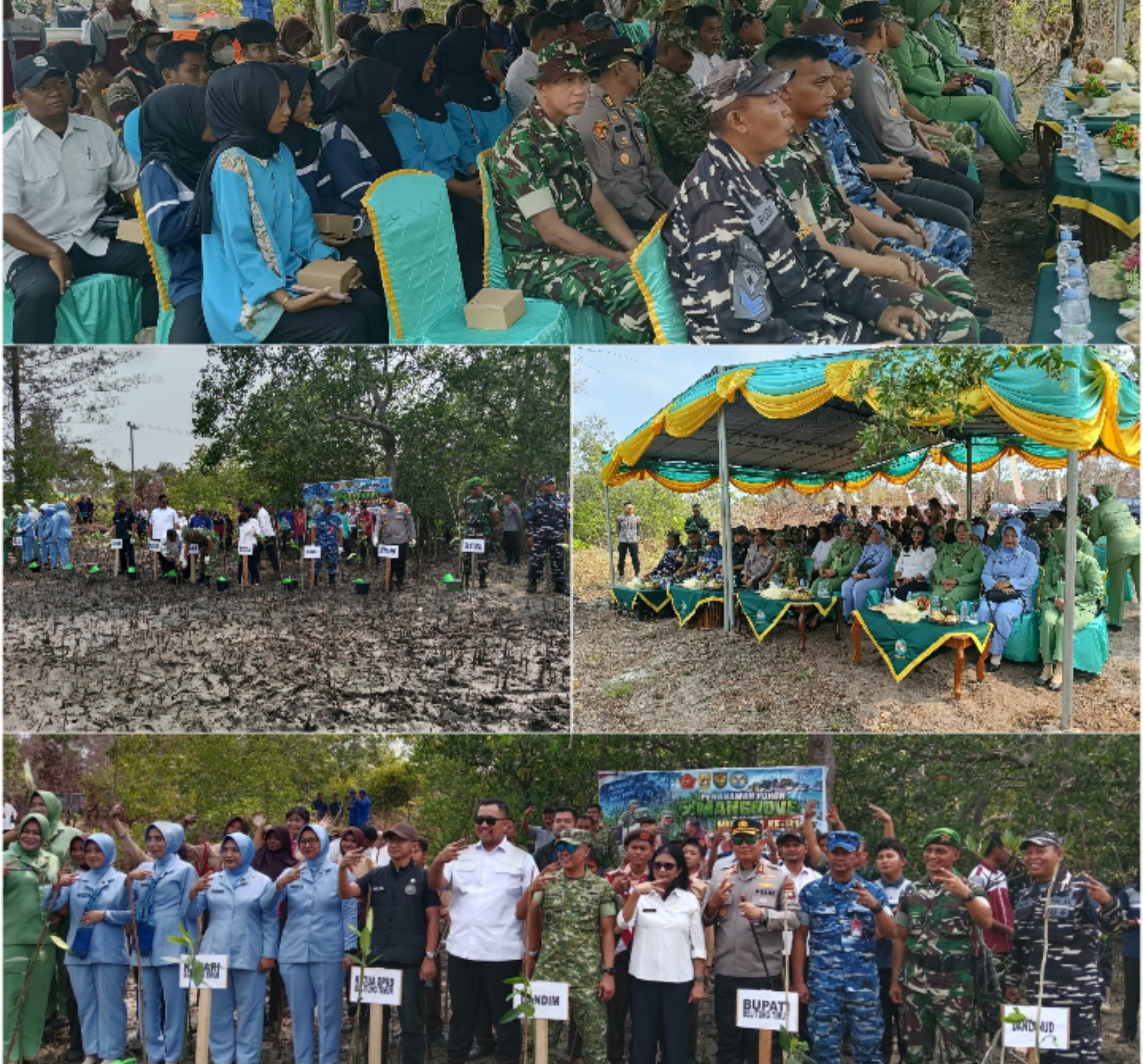 Kaitan HUT TNI ke-81, Kodim 0414/Belitung Tanam 1.000 Bibit Mangrove di Pantai Pering 9 AddText 09 09 01.41.38 scaled