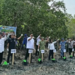 Kaitan HUT TNI ke-81, Kodim 0414/Belitung Tanam 1.000 Bibit Mangrove di Pantai Pering