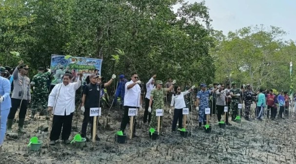 Kaitan HUT TNI ke-81, Kodim 0414/Belitung Tanam 1.000 Bibit Mangrove di Pantai Pering