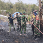 Kebakaran Lahan Seluas 3 Hektare Terjadi di Badau Belitung, Api Berhasil Dipadamkan