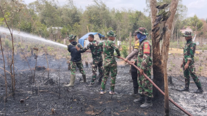Kebakaran Lahan Seluas 3 Hektare Terjadi di Badau Belitung, Api Berhasil Dipadamkan