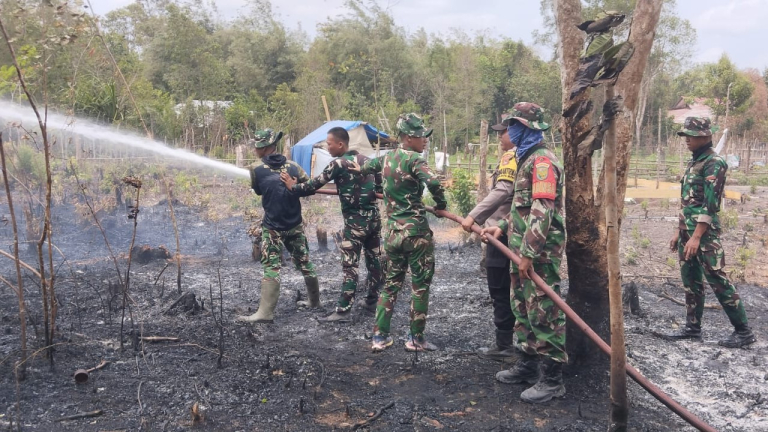 Kebakaran Lahan Seluas 3 Hektare Terjadi di Badau Belitung, Api Berhasil Dipadamkan