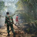 Kebakaran Lahan Sawit di Desa Mayang Berhasil Dipadamkan, Sekitar 1 Hektare Terbakar
