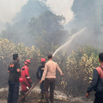 Kebakaran Lahan di Dusun Batumana Membalong, Sekitar 5 Hektare Terbakar: Api berhasil dipadamkan