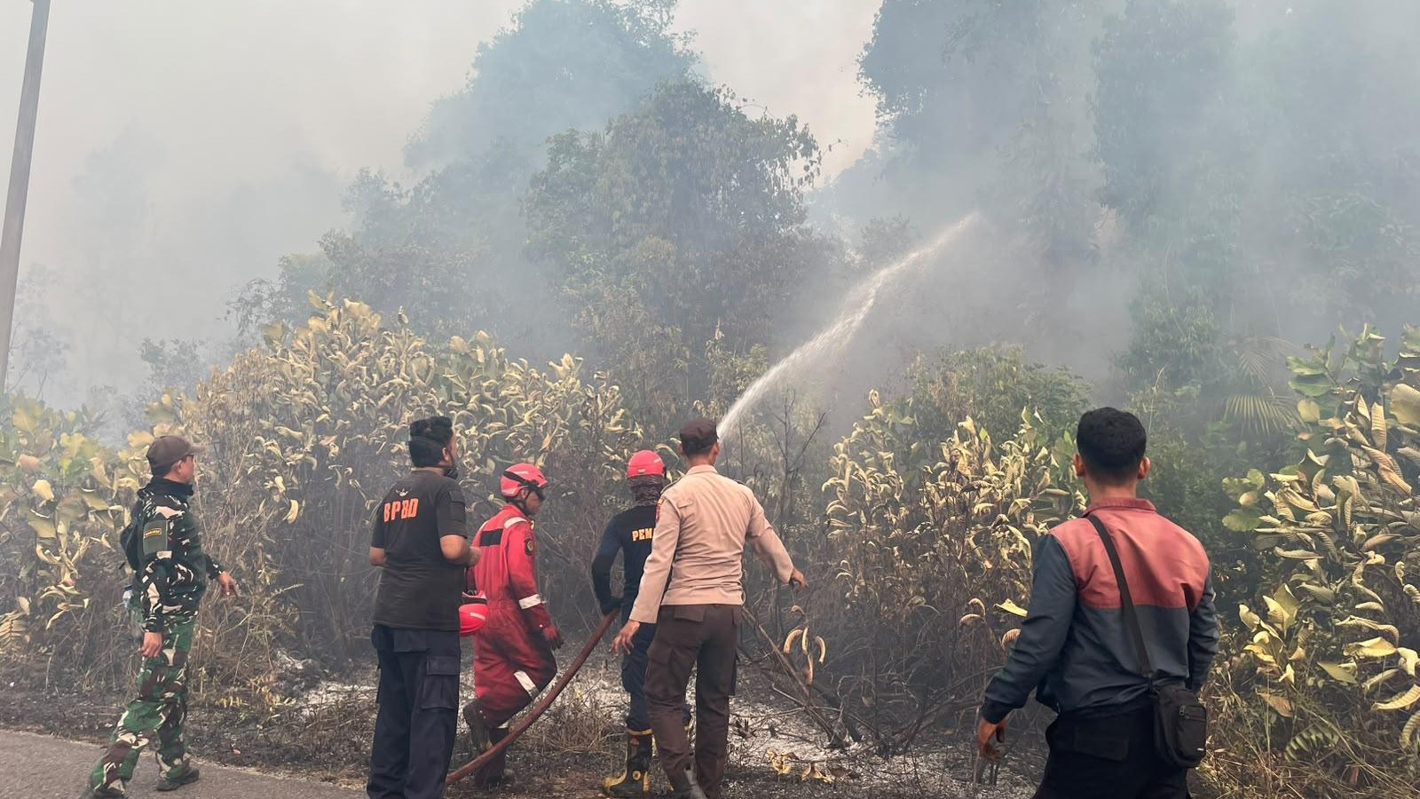 Kebakaran Lahan di Dusun Batumana Membalong, Sekitar 5 Hektare Terbakar: Api berhasil dipadamkan 7 Kebakaran Lahan di Dusun Batumana Membalong, Sekitar 5 Hektare Terbakar: Api berhasil dipadamkan