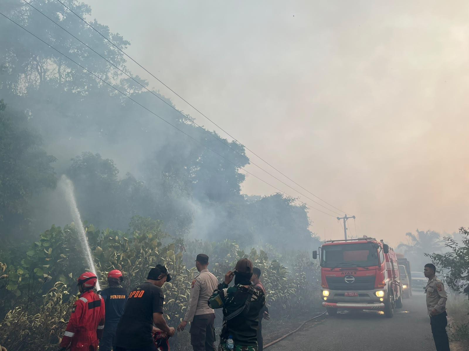 Kebakaran Lahan di Dusun Batumana Membalong, Sekitar 5 Hektare Terbakar: Api berhasil dipadamkan 9 IMG 20260922 WA0063