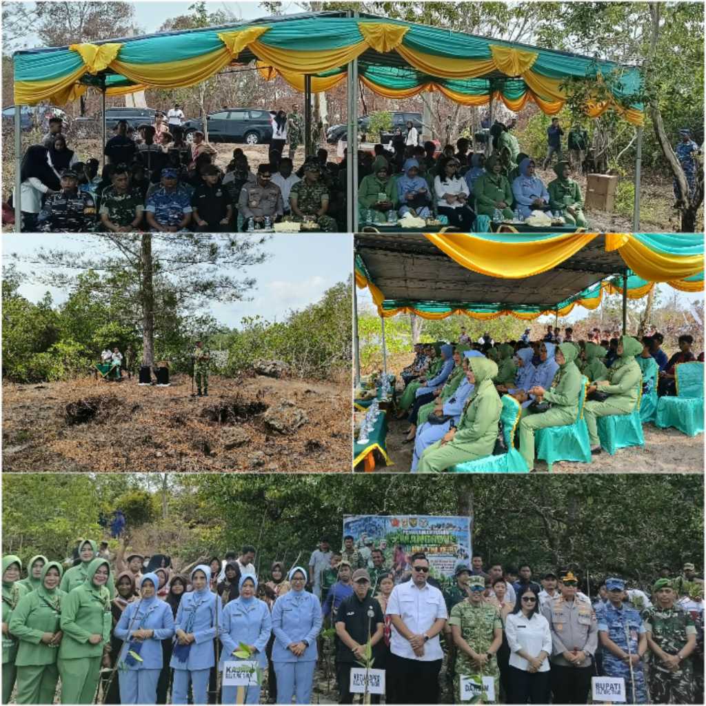 Kaitan HUT TNI ke-81, Kodim 0414/Belitung Tanam 1.000 Bibit Mangrove di Pantai Pering 8 IMG 20260909 133541