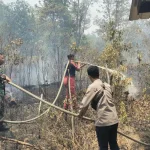 Karhutla Terjadi di Kelapa Kampit, Sekitar 1,5 Hektare Lahan Terbakar