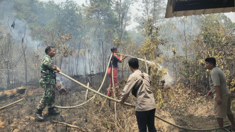 Karhutla Terjadi di Kelapa Kampit, Sekitar 1,5 Hektare Lahan Terbakar