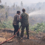 Kebakaran Lahan di Air Batu Buding, Sekitar 10 Hektare Terbakar: Api pun Berhasilkan Dipadamkan
