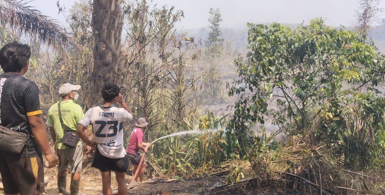 Kebakaran Lahan di Air Batu Buding, Sekitar 10 Hektare Terbakar: Api pun Berhasilkan Dipadamkan 8 AddText 10 05 03.59.03