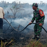 Karhutla di Desa Buding Sekitar 4 Hektare Lahan Terbakar: Api Pun Berhasil dipadamkan