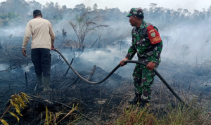 Karhutla di Desa Buding Sekitar 4 Hektare Lahan Terbakar: Api Pun Berhasil dipadamkan