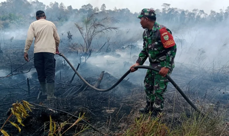 Karhutla di Desa Buding Sekitar 4 Hektare Lahan Terbakar: Api Pun Berhasil dipadamkan