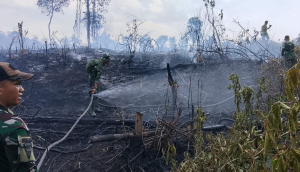 Kebakaran Lahan Kosong Seluas 3 Hektare di Air Merbau Belitung Berhasil Dipadamkan